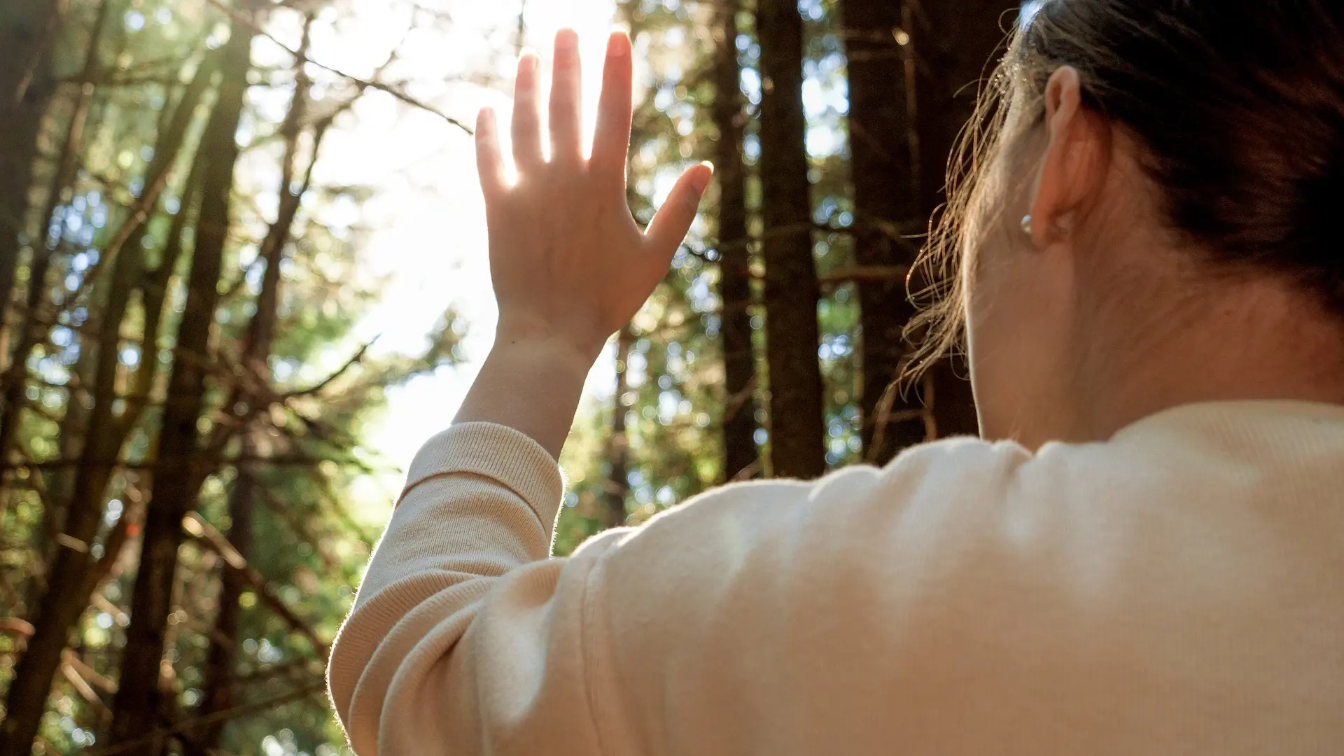 Person raising a hand toward sunlight filtering through trees