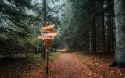 Different Paths